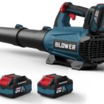 Best Leaf Blower for Snow